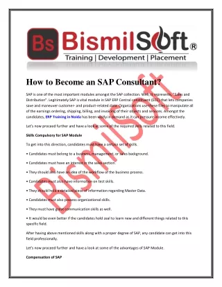 how to become an sap consultant