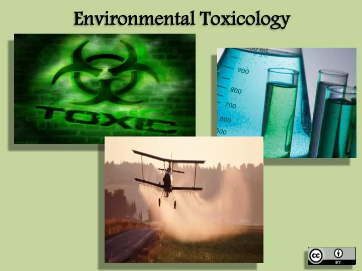 environmental toxicology