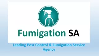 Fumigation SA- Pest Control in Johannesburg