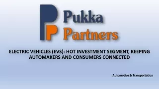 electric vehicles evs hot investment segment