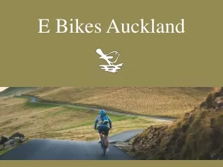 e bikes auckland