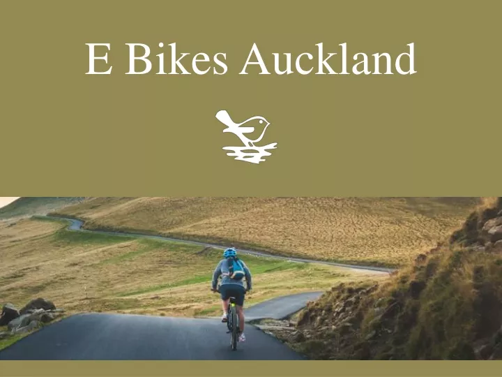 e bikes auckland