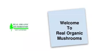 Lion Mane Mushroom Products Online