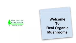 welcome to real organic mushrooms