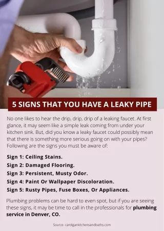 5 SIGNS THAT YOU HAVE A LEAKY PIPE