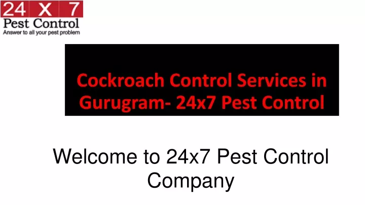 cockroach control services in gurugram 24x7 pest control