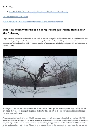 The Best Advice You Could Ever Get About arborist