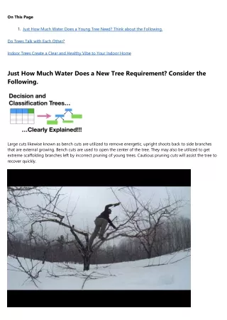10 Facts About tree service That Will Instantly Put You in a Good Mood