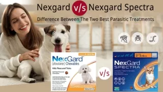 Nexgard v/s Nexgard Spectra, what we need to know?