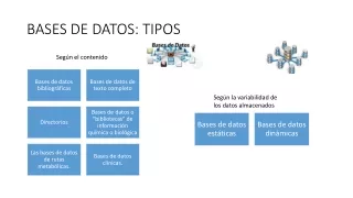 bases de datos tipos