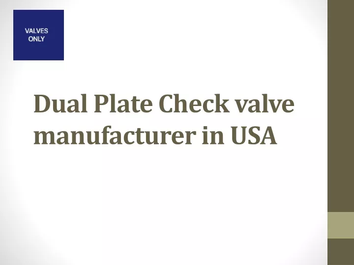 dual plate check valve manufacturer in usa