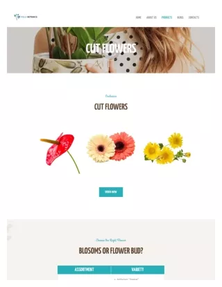 Best Cut Flowers Vendor in USA