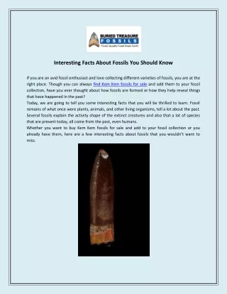 interesting facts about fossils you should know