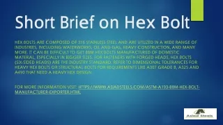 Short Brief on Hex Bolt