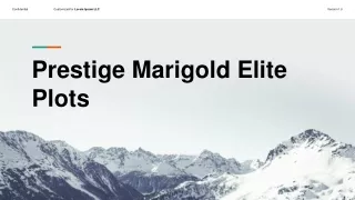 Prestige Marigold Elite Plotsoon Airport Road