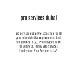 pro services dubai