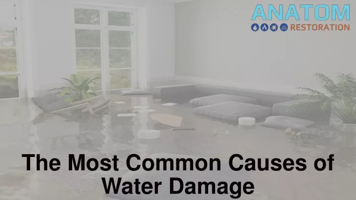 the most common causes of water damage