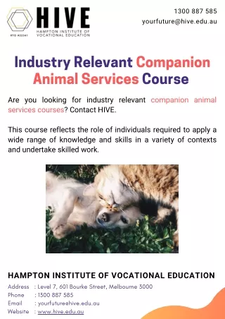 Industry Relevant Companion Animal Services Course