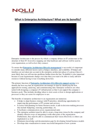 what is enterprise architecture what