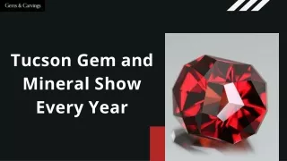 Tucson Gem and Mineral Show Every Year
