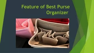 Feature of Best Purse Organizer