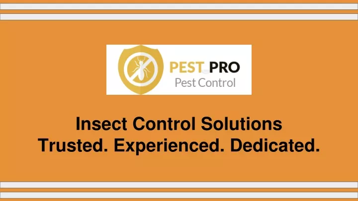 insect control solutions trusted experienced