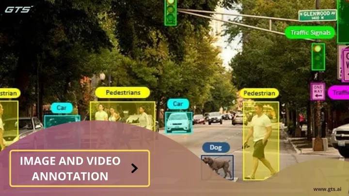 image and video annotation