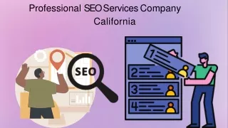 Professional SEO Services Company California