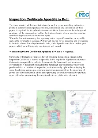 Inspection Certificate apostille in Delhi-pdf