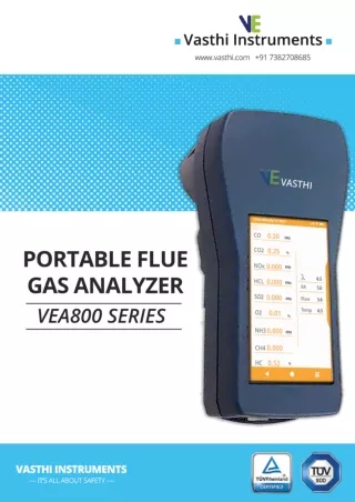 Portable Flue Gas Analyzer-VE5400