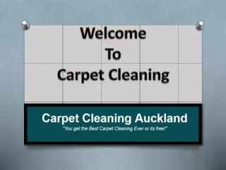 Carpet Cleaning Auckland | Hire Professional Rug Cleaners | 09-377 9044