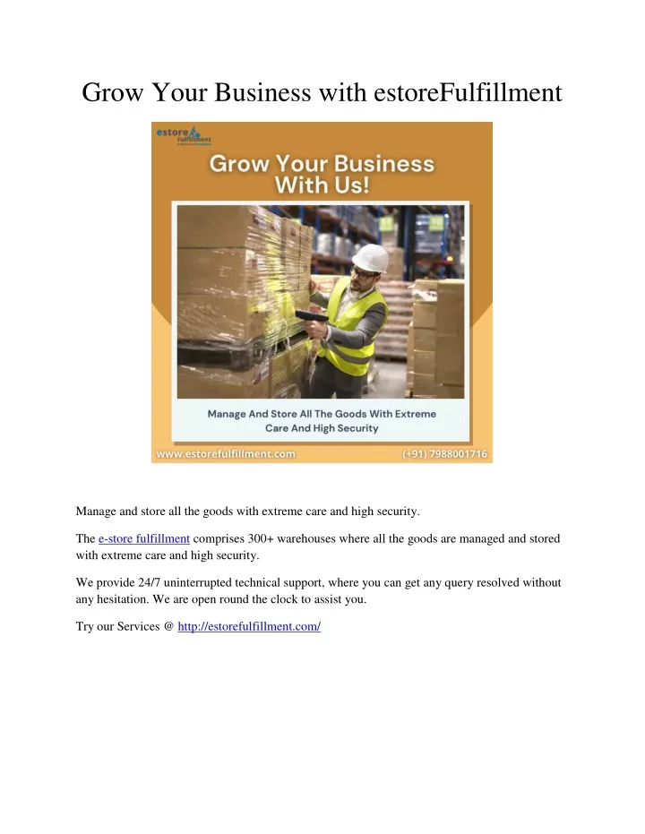 grow your business with estorefulfillment