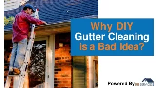 Why DIY Gutter Cleaning is a Bad Idea