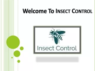 Insect Control Auckland North Shore, West, South | Call Us 0800 199 399