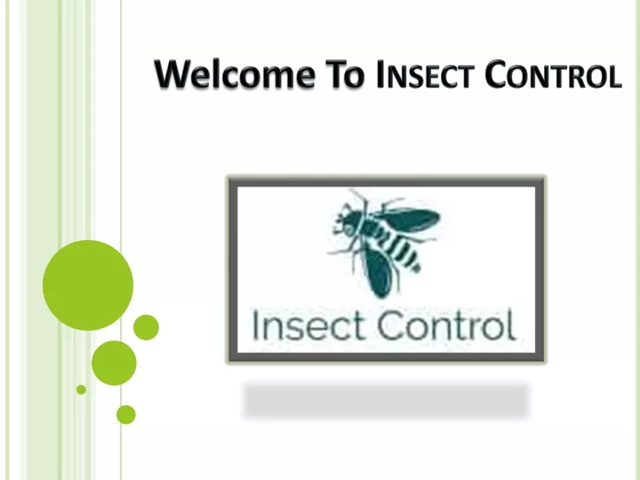 welcome to insect control