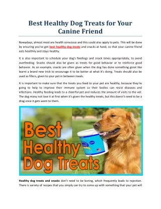 Best Healthy Dog Treats for Your Canine Friend