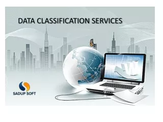 data classification services