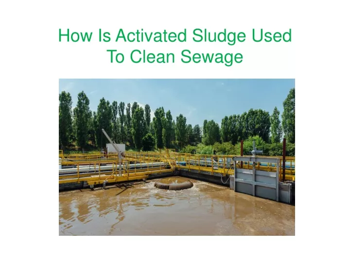 how is activated sludge used to clean sewage