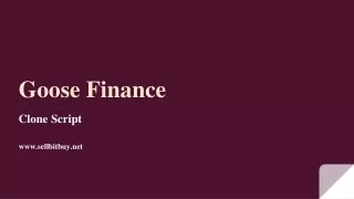 goose finance