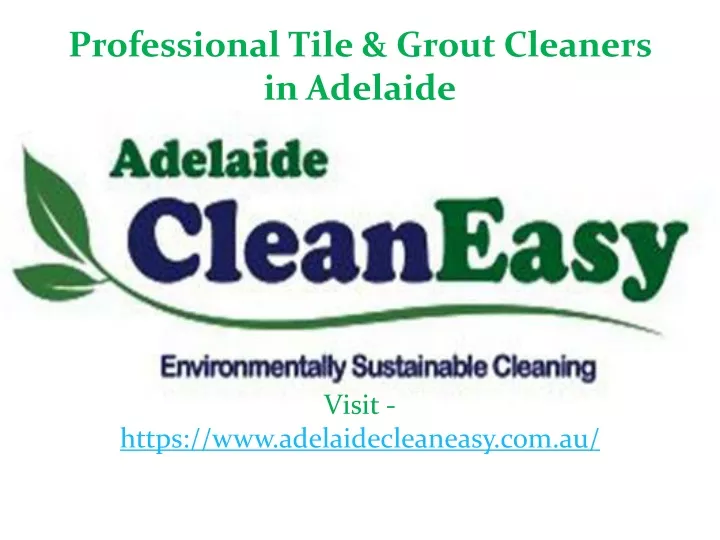 professional tile grout cleaners in adelaide