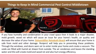 Things to Keep In Mind Commercial Pest Control Middletown
