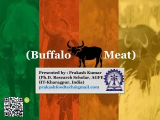 buffalo meat