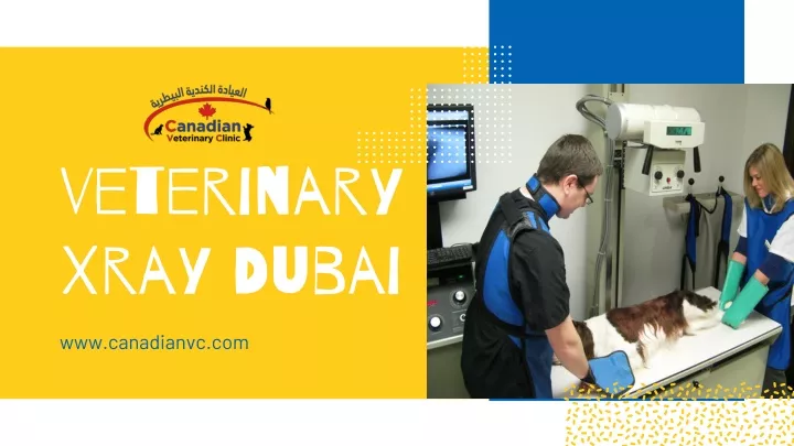 veterinary xray dubai