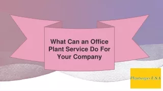What Can an Office Plant Service Do For Your Company
