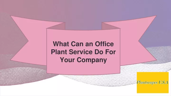 what can an office plant service do for your