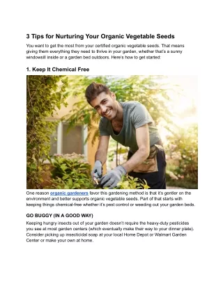 3 Tips for Nurturing Your Organic Vegetable Seeds