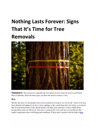 Signs That It’s Time for tree services provider in Pollock Pines California