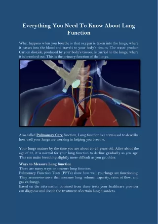 Everything You Need To Know About Lung Function