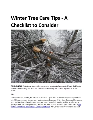 Winter Tree Care Tips - A Checklist to Consider