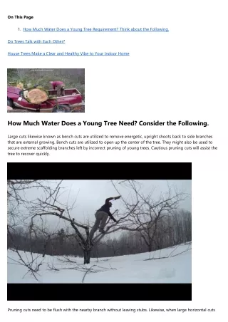 7 Horrible Mistakes You're Making With tree removal